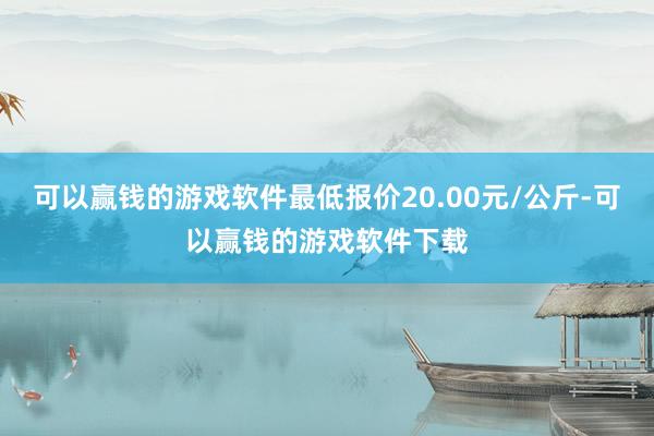 可以赢钱的游戏软件最低报价20.00元/公斤-可以赢钱的游戏软件下载