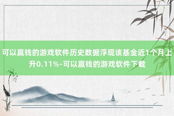 可以赢钱的游戏软件历史数据浮现该基金近1个月上升0.11%-可以赢钱的游戏软件下载